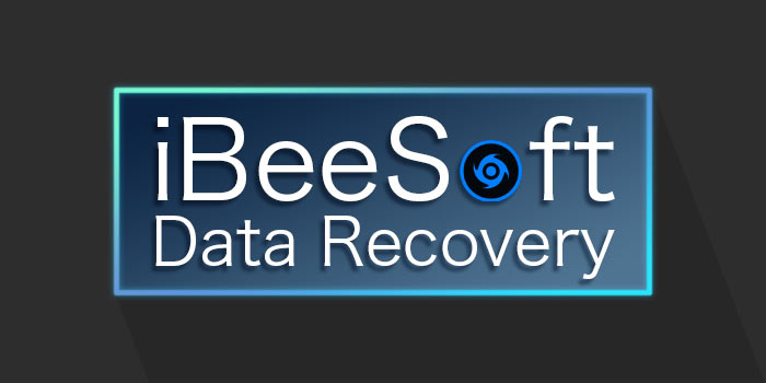 ibeesoft data recovery pricing