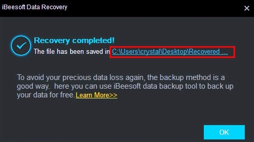 ibeesoft data recovery save scan