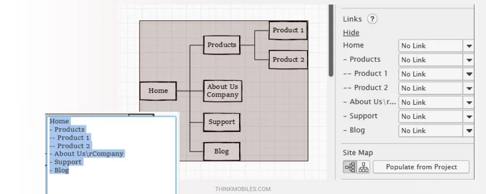 Balsamiq interface