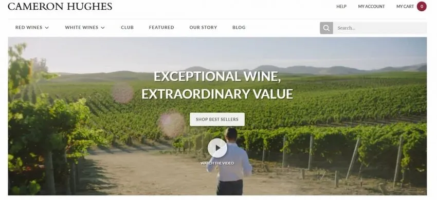 Magento developer companies