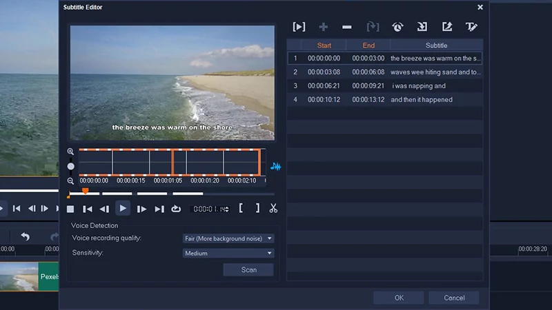 professional video editing software