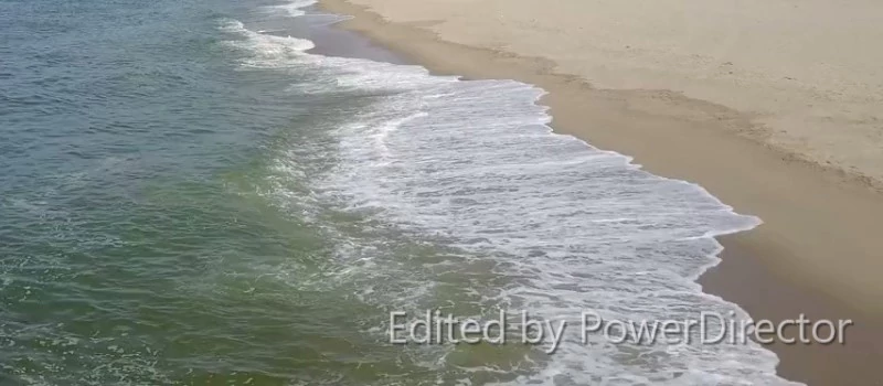 video editor free, watermark