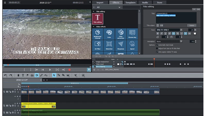 software for video production, magix, sony vegas