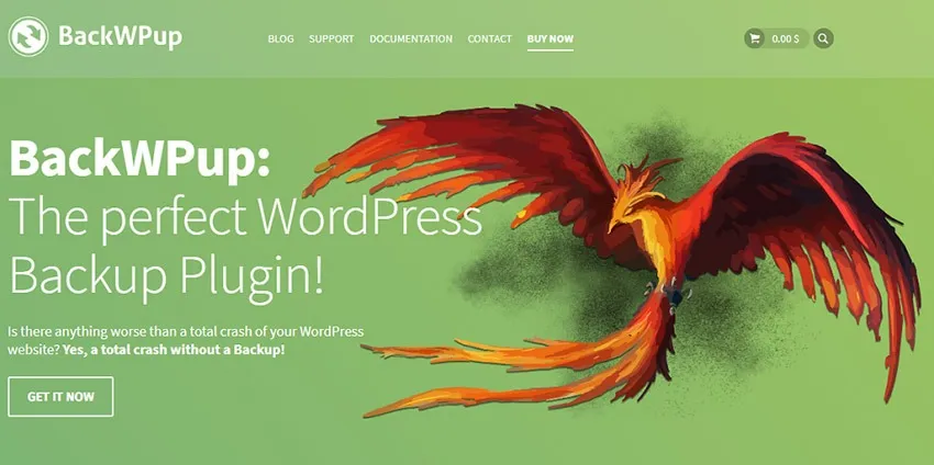 WordPress development companies