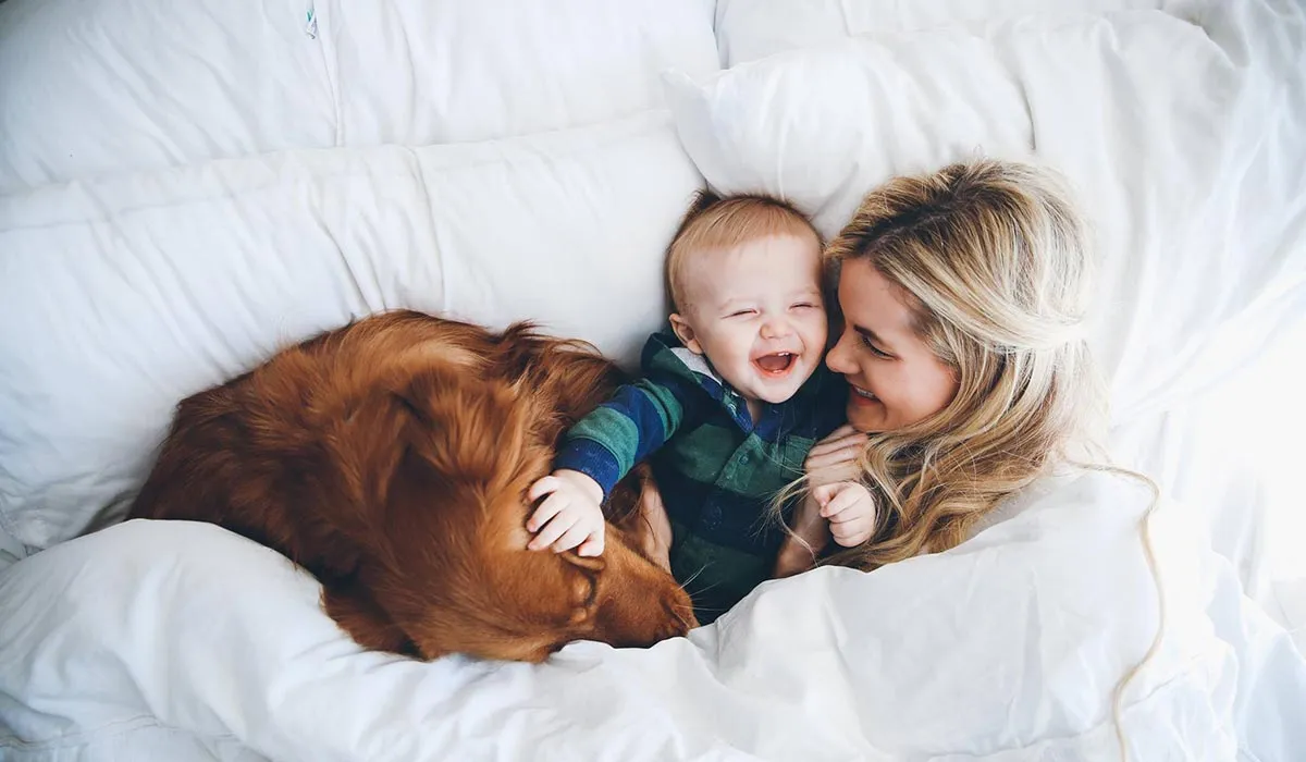 blog ideas in lifestyle