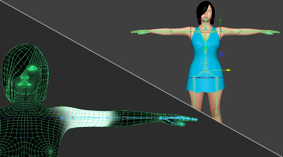 how much cost to make 3d model rigging
