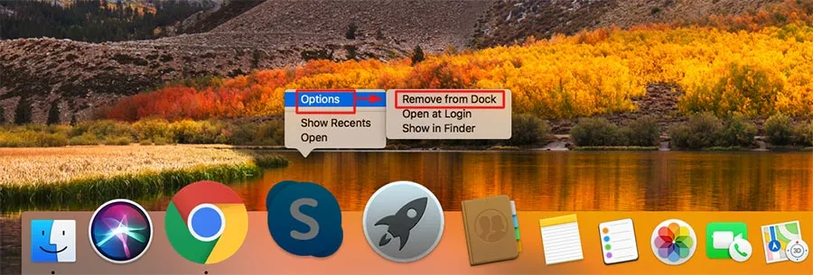 dockpanel mac