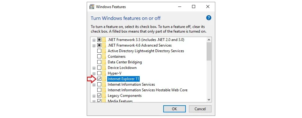 disable Internet Explorer