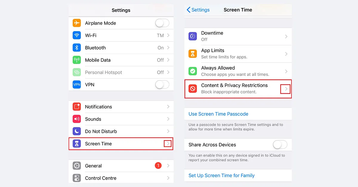 how to remove Safari on iOS