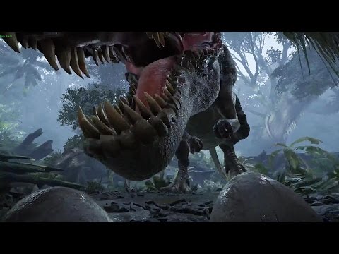 Top VR Videos