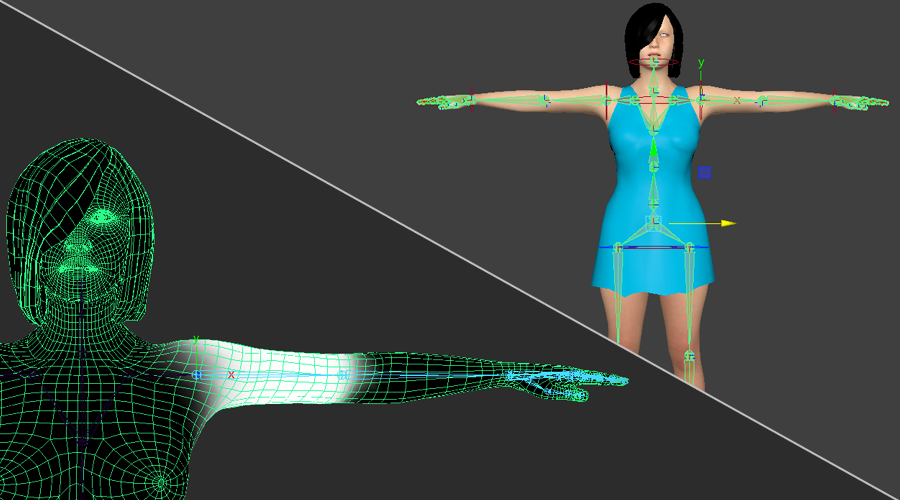 how much cost to make 3d model rigging