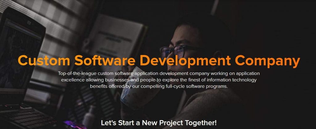Best custom software development companies (May 2018) - 2020