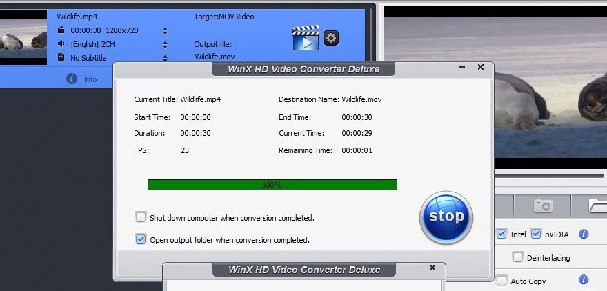 winx hd video converter deluxe review
