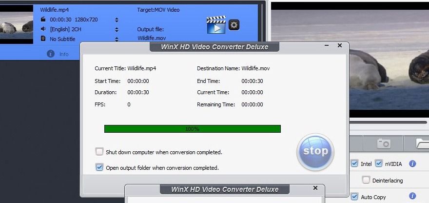 free winx video converter download