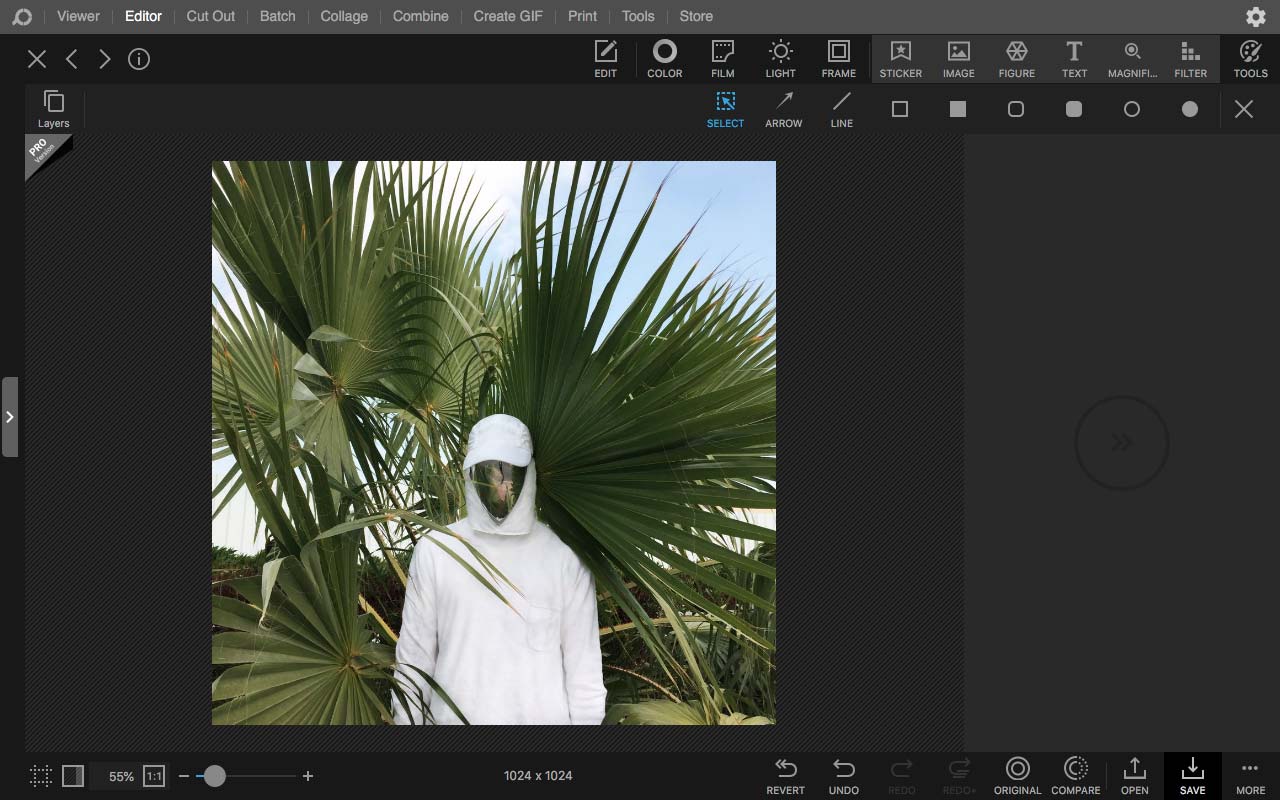 picsplay photo editor download for mac