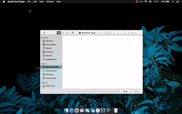 quicktime for mac .ts