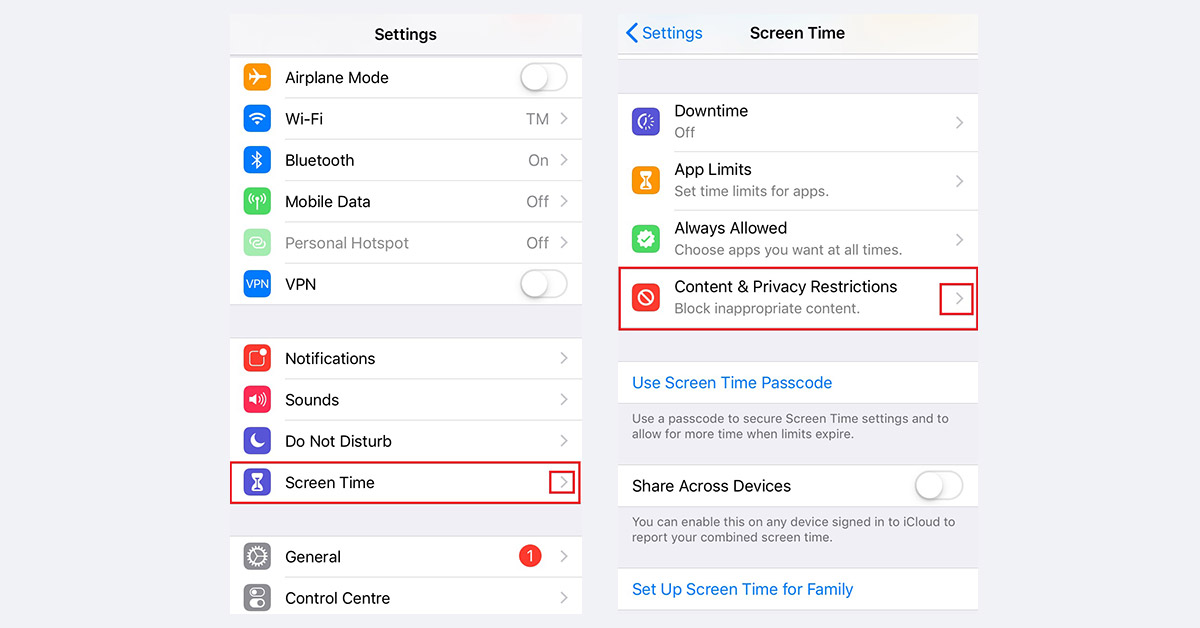 how to remove Safari on iOS